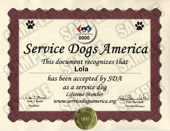 Service Dog Certificate Service Dogs America